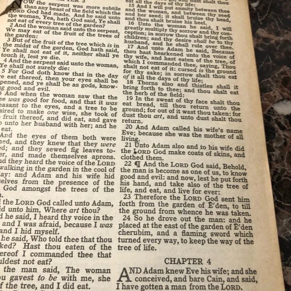 Holy Bible - Picture 14 of 16